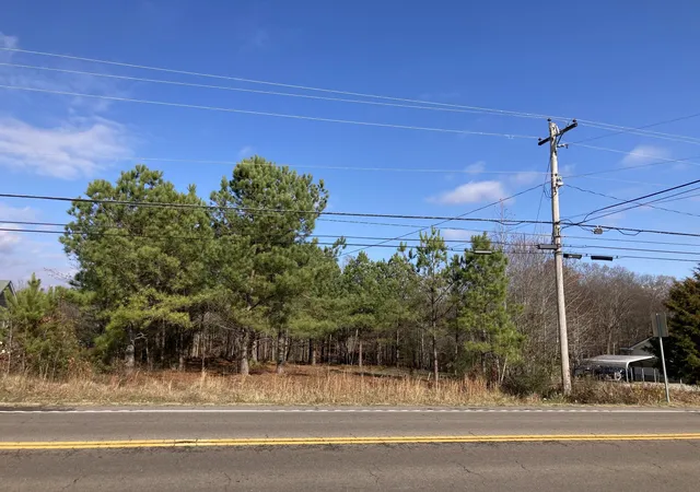 Homes for sale in Summertown, TN | 0 Hwy 20, Summertown, TN 38483 | MLS# 3253420