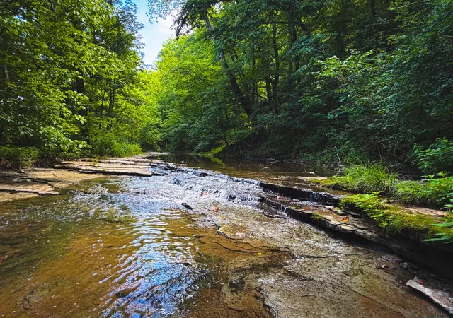 Photo 1 of Land for sale at 5 N Lick Crk Rd, Franklin, TN 37064 | MLS# 3279181 | Listing updated on 2026-08-20