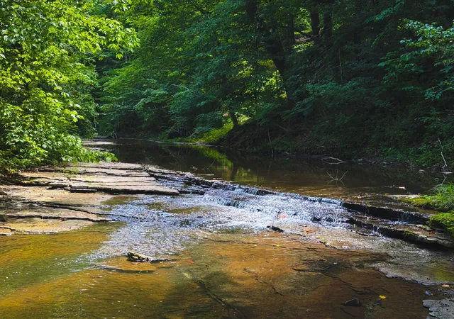 Photo 2 of Land for sale at 5 N Lick Crk Rd, Franklin, TN 37064 | MLS# 3279181 | Listing updated on 2026-08-20