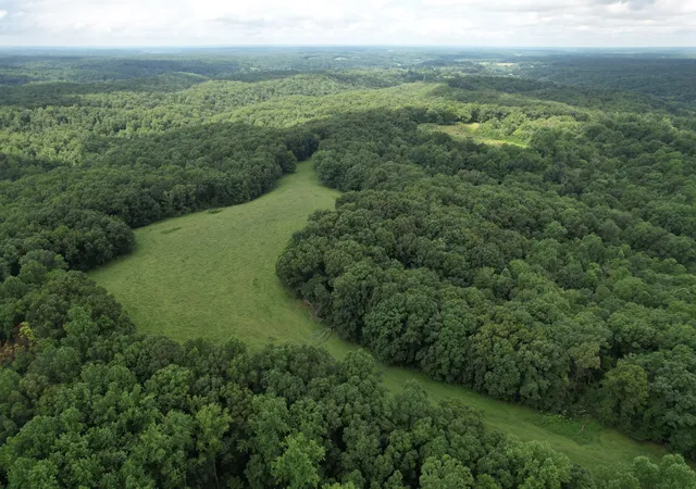 Photo 3 of Land for sale at 5 N Lick Crk Rd, Franklin, TN 37064 | MLS# 3279181 | Listing updated on 2026-08-20