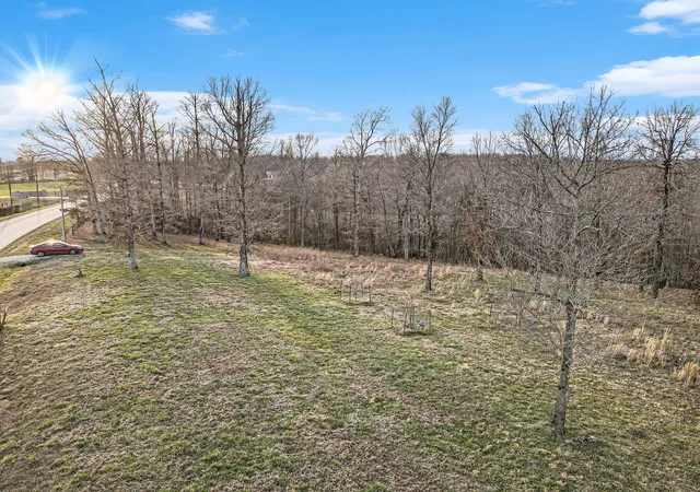 Homes for sale in Primm Springs, TN | 7850 W Lick Creek Rd, Primm Springs, TN 38476 | MLS# 3254857