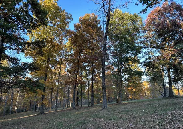 Homes for sale in Primm Springs, TN | 7850 W Lick Creek Rd, Primm Springs, TN 38476 | MLS# 3254857