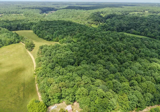 Homes for sale in Leoma, TN | 215 Clear Creek Rd, Leoma, TN 38468 | MLS# 3261049