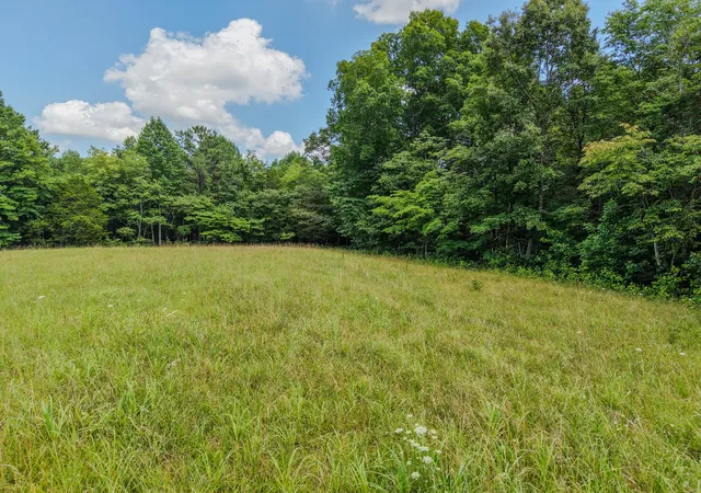 Homes for sale in Leoma, TN | 215 Clear Creek Rd, Leoma, TN 38468 | MLS# 3261049