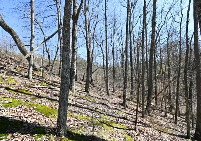 Homes for sale in Smithville, TN | 0 Davidson Road, Smithville, TN 37166 | MLS# 3253627