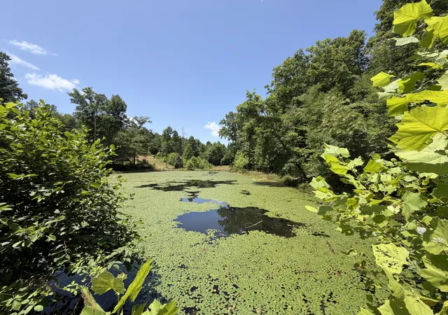 1st image of 215 Bar Bee Rd, Hohenwald, TN 38462 | MLS# 3256363