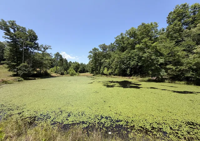 2nd image of 215 Bar Bee Rd, Hohenwald, TN 38462 | MLS# 3256363