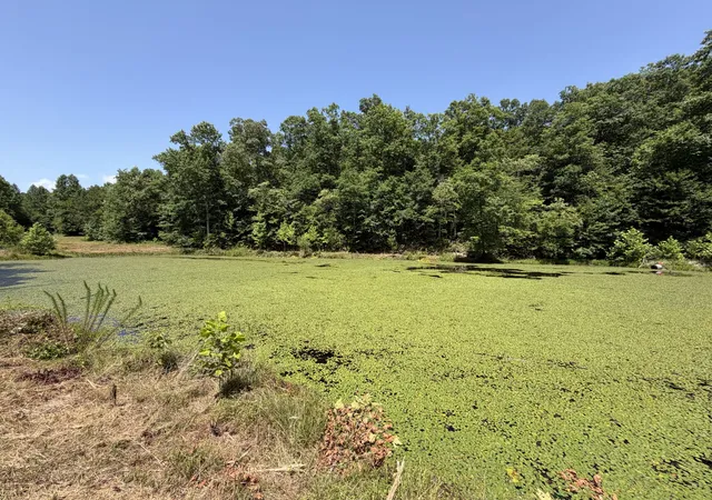 3rd image of 215 Bar Bee Rd, Hohenwald, TN 38462 | MLS# 3256363