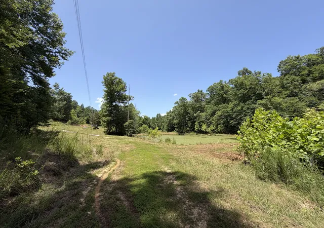 51st image of 215 Bar Bee Rd, Hohenwald, TN 38462 | MLS# 3256363