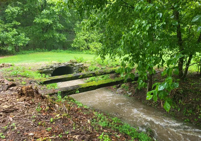 12th image of 416 Hix Hollow Rd, Gainesboro, TN 38562 | MLS# 3256561