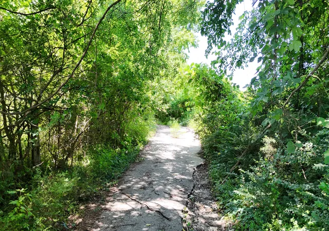 6th image of 122 Central Valley Rd, Murfreesboro, TN 37129 | MLS# 3261240