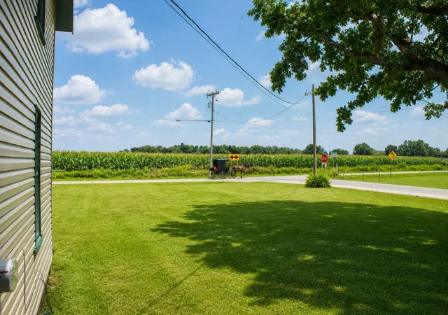 Photo 4 of Single family home for sale at 260 Campbellsville Pike, Ethridge, TN 38456 | MLS# 3262902 | Listing updated on 2026-08-20