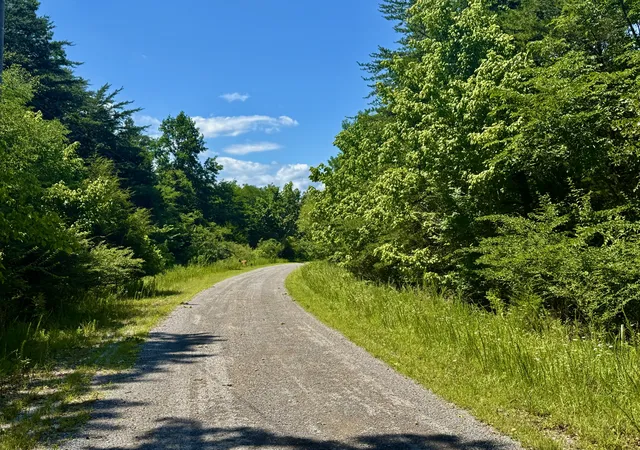 Homes for sale in South Pittsburg, TN | 1 Teludachee Trail, South Pittsburg, TN 37380 | MLS# 3254763