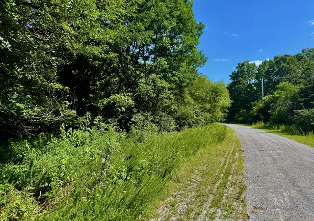 Homes for sale in South Pittsburg, TN | 1 Teludachee Trail, South Pittsburg, TN 37380 | MLS# 3254763