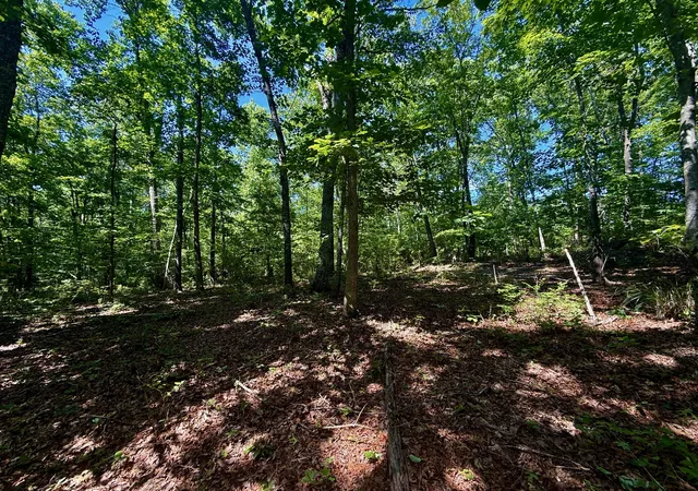 Homes for sale in South Pittsburg, TN | 1 Teludachee Trail, South Pittsburg, TN 37380 | MLS# 3254763