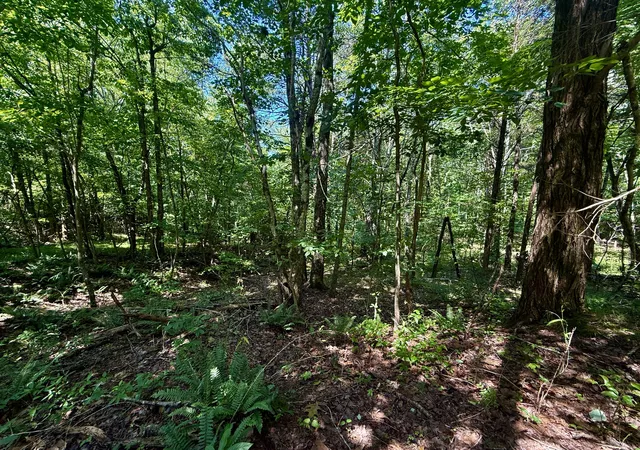Homes for sale in South Pittsburg, TN | 1 Teludachee Trail, South Pittsburg, TN 37380 | MLS# 3254763