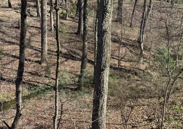 4th image of 762 Spring Valley Rd, Cookeville, TN 38501 | MLS# 3253549