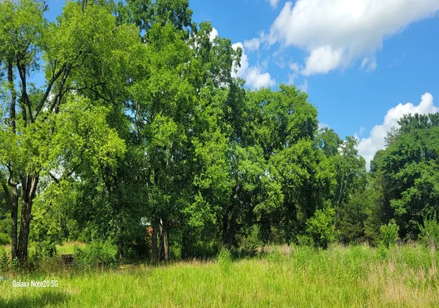 Land for sale at 2 Clem Crk Rd, Chapel Hill, TN 37034 | MLS# 3254690