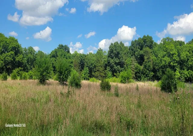 Photo 4 of House for sale at 2 Clem Crk Rd, Chapel Hill, TN 37034 | MLS# 3254690 | Listing updated on 2026-09-02