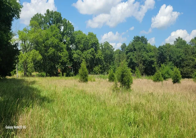 Photo 9 of Land for sale at 2 Clem Crk Rd, Chapel Hill, TN 37034 | MLS# 3254690 | Listing updated on 2026-09-02