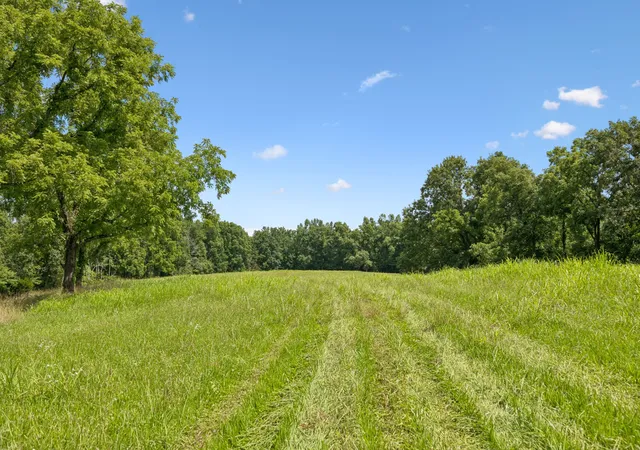 Photo 3 of Land for sale at 7700 Daugherty Capley Rd, Bon Aqua, TN 37025 | MLS# 3254913 | Listing updated on 2026-07-05