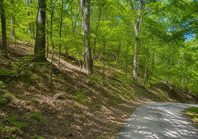 Homes for sale in Smithville, TN | 0 Lakeside Dr, Smithville, TN 37166 | MLS# 3255063