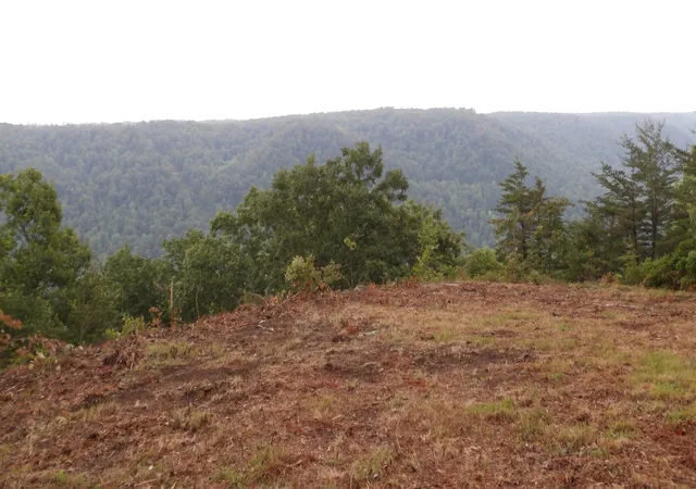 63rd image of 442 Valley View Circle, Wilder, TN 38589 | MLS# 3254835