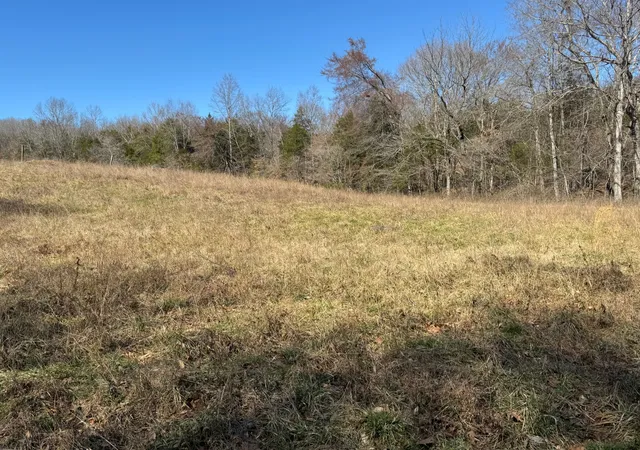 1st image of 0 Corlew Road, Charlotte, TN 37036 | MLS# 3261009