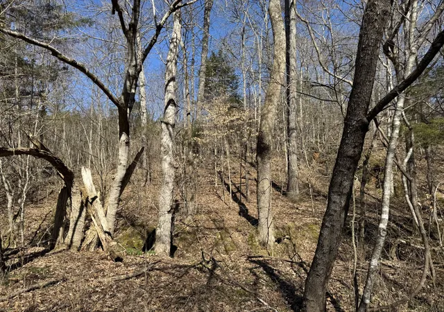 Photo 3 of Land for sale at 0 Corlew Rd, Charlotte, TN 37036 | MLS# 3261009 | Listing updated on 2026-08-17