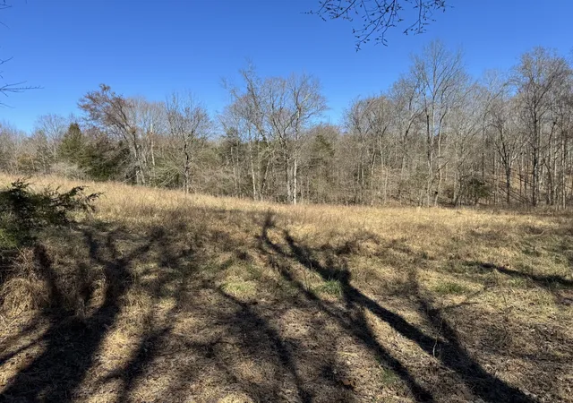 Photo 4 of Land for sale at 0 Corlew Rd, Charlotte, TN 37036 | MLS# 3261009 | Listing updated on 2026-08-17