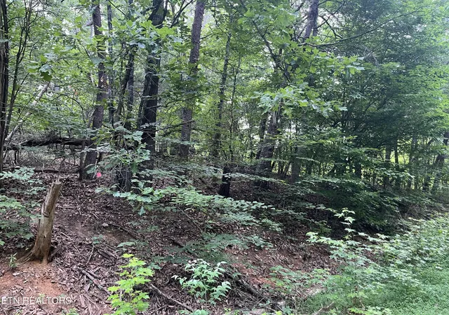 Land for sale at 3278 Hillside Rd, White Pine, TN 37890 | MLS# 3540140