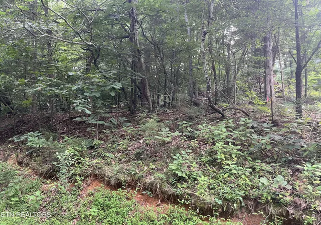 Photo 2 of Land for sale at 3278 Hillside Rd, White Pine, TN 37890 | MLS# 3540140 | Listing updated on 2026-09-03