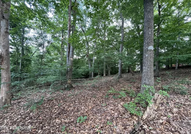 Photo 3 of Land for sale at 3278 Hillside Rd, White Pine, TN 37890 | MLS# 3540140 | Listing updated on 2026-09-03