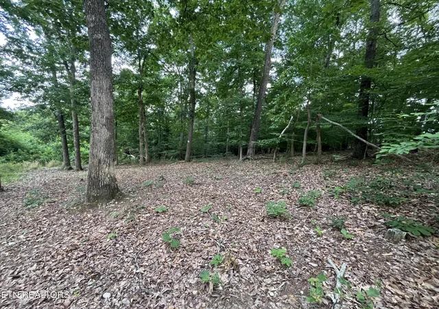 Photo 3 of Land for sale at 3278 Hillside Rd, White Pine, TN 37890 | MLS# 3540140 | Listing updated on 2026-09-03