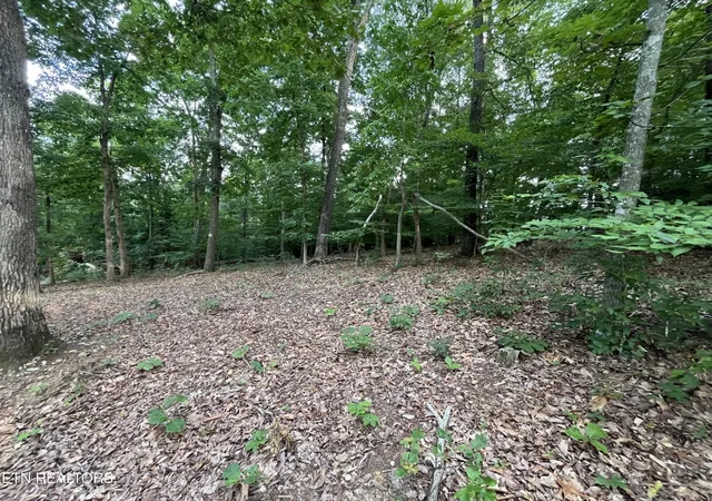 Photo 4 of Land for sale at 3278 Hillside Rd, White Pine, TN 37890 | MLS# 3540140 | Listing updated on 2026-09-03