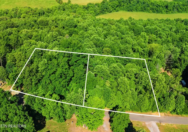 Land for sale at 3233 Stevia Way, Cosby, TN 37722 | MLS# 3540143