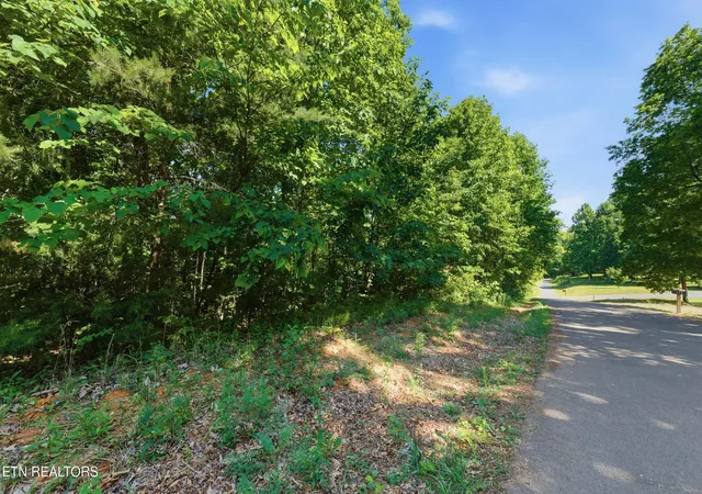 Photo 2 of Land for sale at 3233 Stevia Way, Cosby, TN 37722 | MLS# 3540143 | Listing updated on 2026-09-16