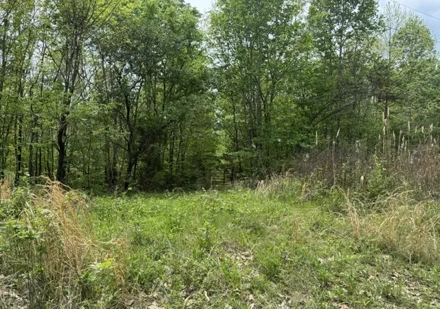 Homes for sale in Bumpus Mills, TN | 637 Hargis Rd, Bumpus Mills, TN 37028 | MLS# 3259746