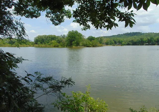 Homes for sale in Clifton, TN | 2995 Beech Creek Loop, Clifton, TN 38425 | MLS# 3255529