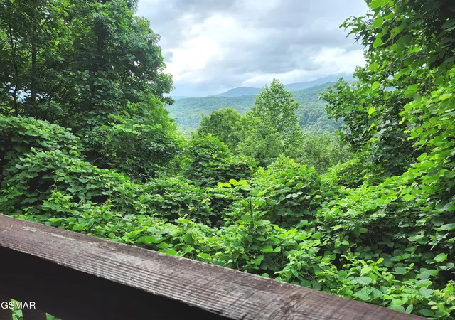 2nd image of 559 Crest Road, Gatlinburg, TN 37738 | MLS# 3309006