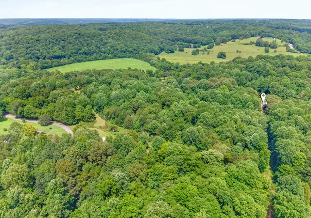 51st image of 3450 Chapmans Cir, Palmyra, TN 37142 | MLS# 3271028