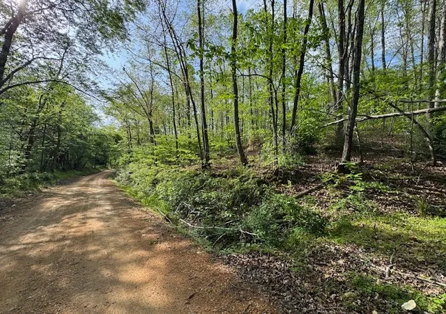 Homes for sale in Centerville, TN | 455 Moss Spring Hollow Road, Centerville, TN 37033 | MLS# 3255130