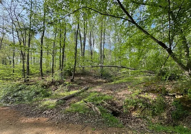 Homes for sale in Centerville, TN | 455 Moss Spring Hollow Road, Centerville, TN 37033 | MLS# 3255130