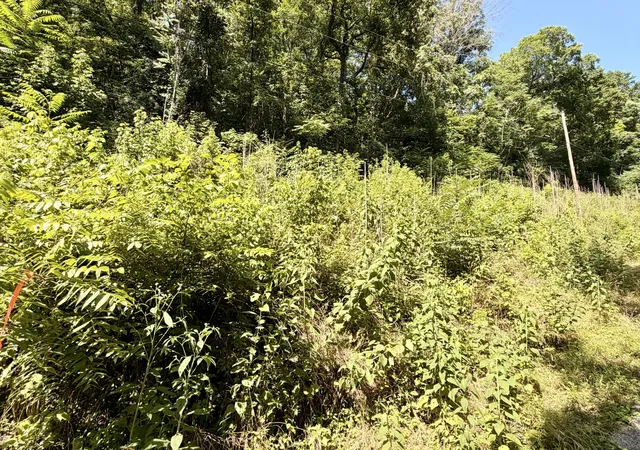 Homes for sale in Silver Point, TN | 0 Silver Point Rd, Silver Point, TN 38582 | MLS# 3255143