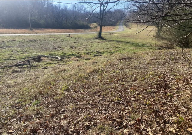1st image of 0 Scenic Dr, Pulaski, TN 38478 | MLS# 3256215
