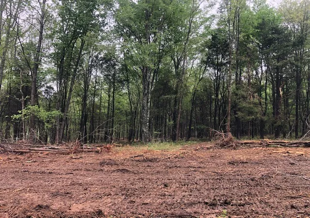 4th image of 7910 Bill Moss Rd, White House, TN 37188 | MLS# 3255412