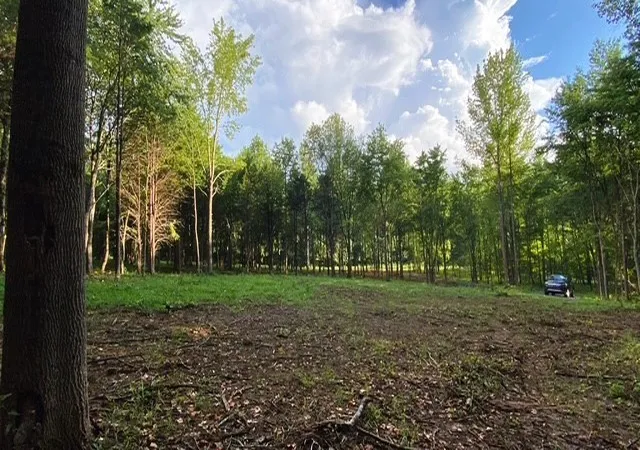 1st image of 7884 Bill Moss Rd, White House, TN 37188 | MLS# 3255415