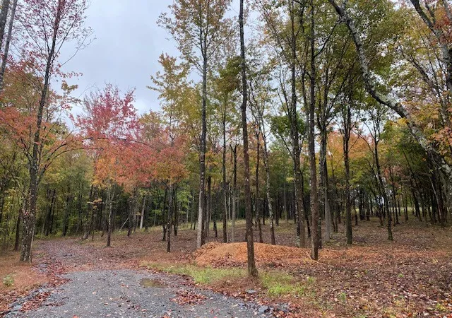 Photo 3 of Land for sale at 7884 Bill Moss Rd, White House, TN 37188 | MLS# 3255415 | Listing updated on 2026-09-24