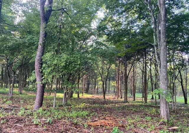 4th image of 7884 Bill Moss Rd, White House, TN 37188 | MLS# 3255415