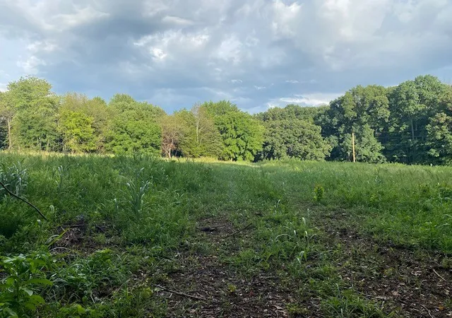 Photo 3 of Land for sale at 7888 Bill Moss Rd, White House, TN 37188 | MLS# 3255417 | Listing updated on 2026-09-24